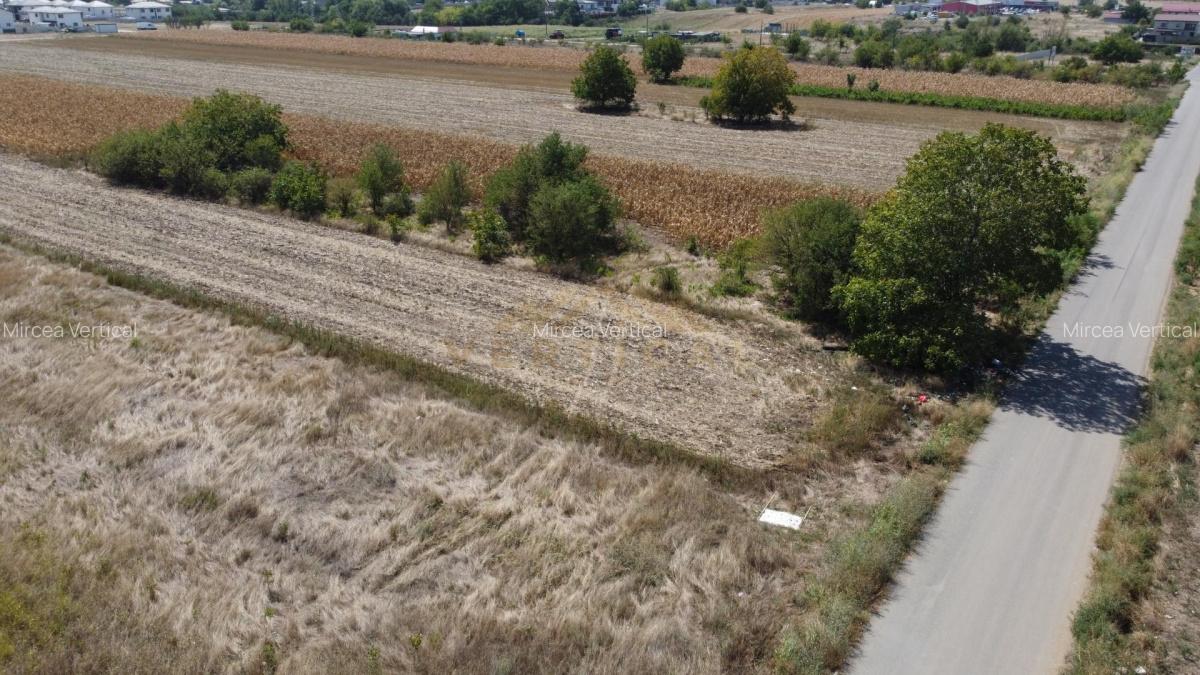 Teren intravilan in RATE la intrare in comuna Berceni - 4