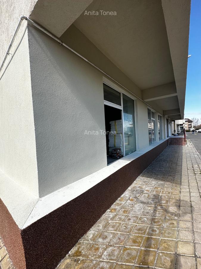 Spatiu Comercial ANSAMBLU PRIMAVARA - 8