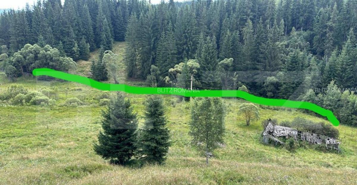 Teren intravilan de vanzare, 6941 mp, zona Mestecani? - 2