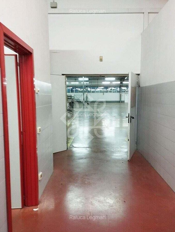 Hala de inchiriat cu suprafata de 1600 mp in Oradea - 5