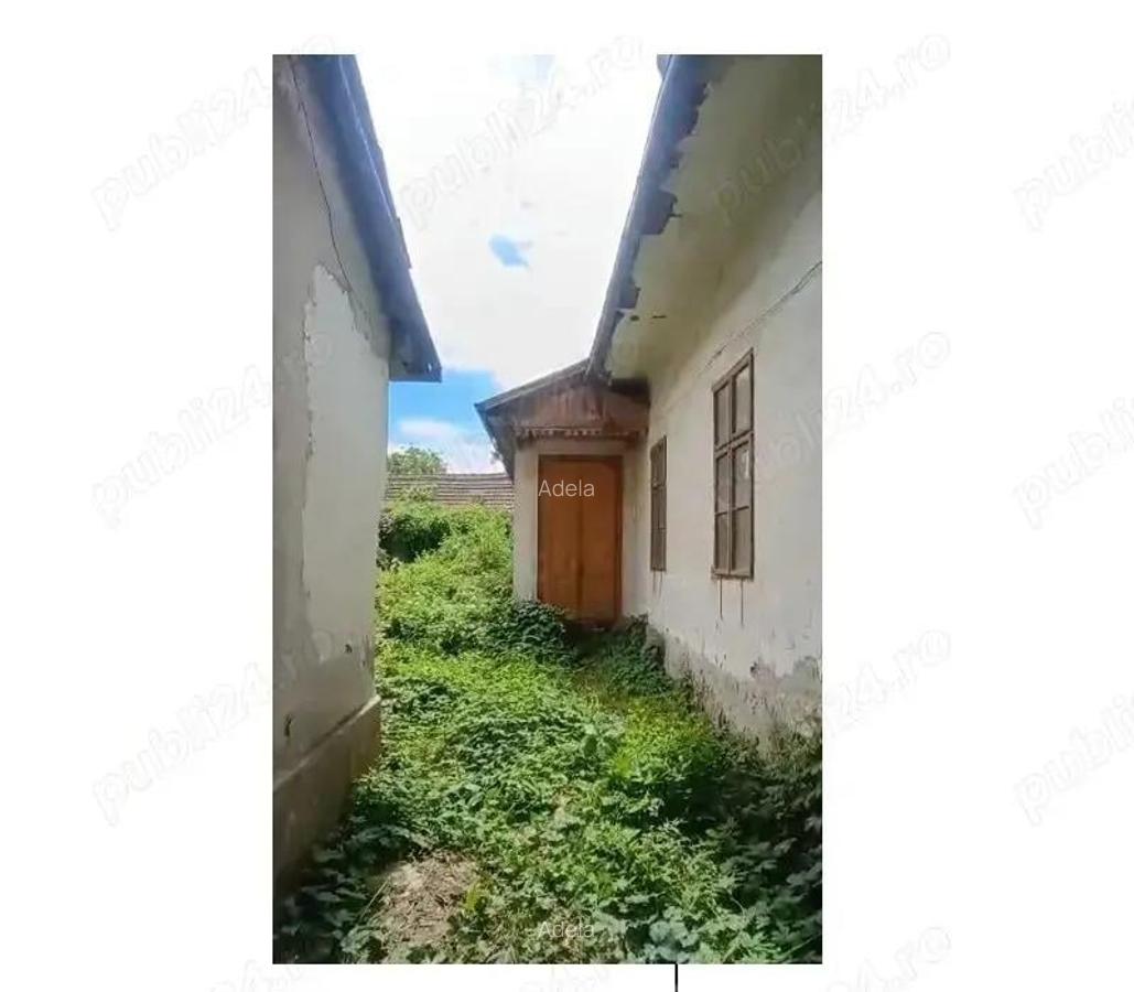 Teren 6000 mp cu 2 case, Faget - 2