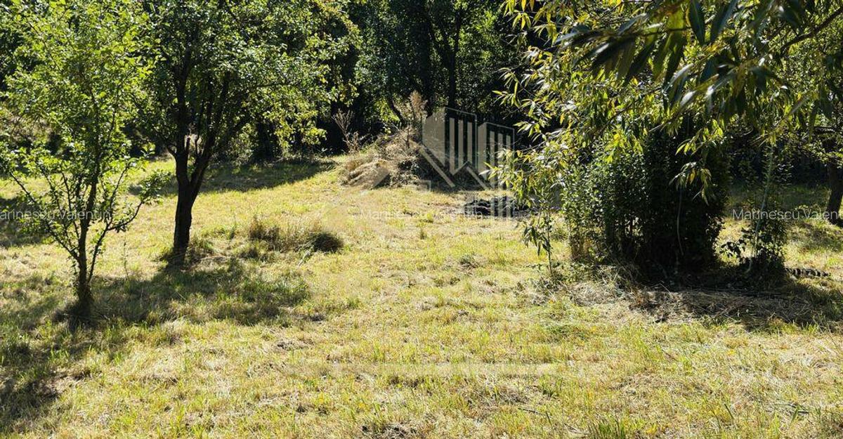 TEREN INTRAVILAN 3234 MP LERE?TI VOINE?TI ARGE? - 15