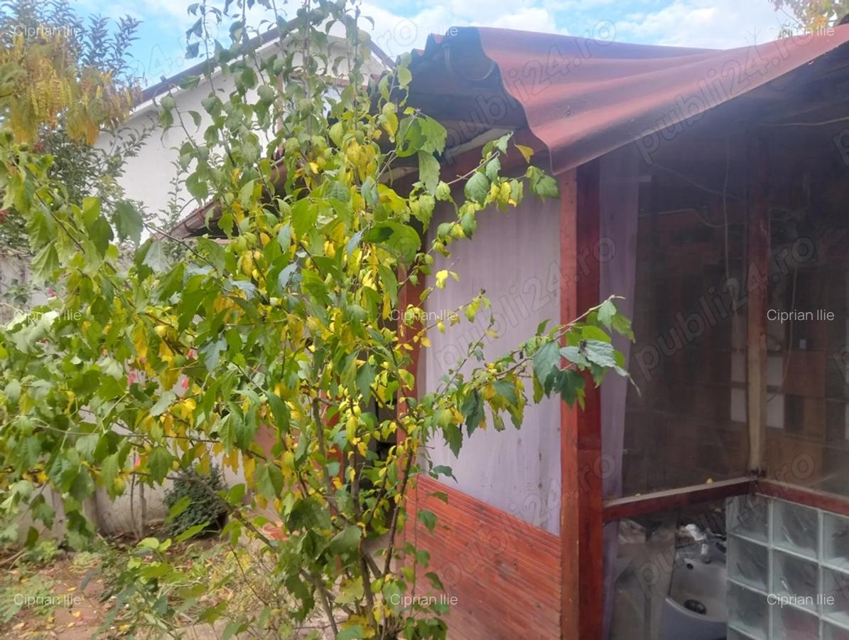 Casa de vanzare Valu lui traian - 8