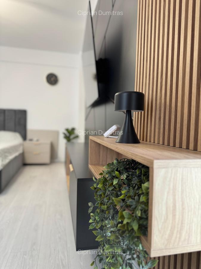 Apartament modern cu 1 camera Visan - 3