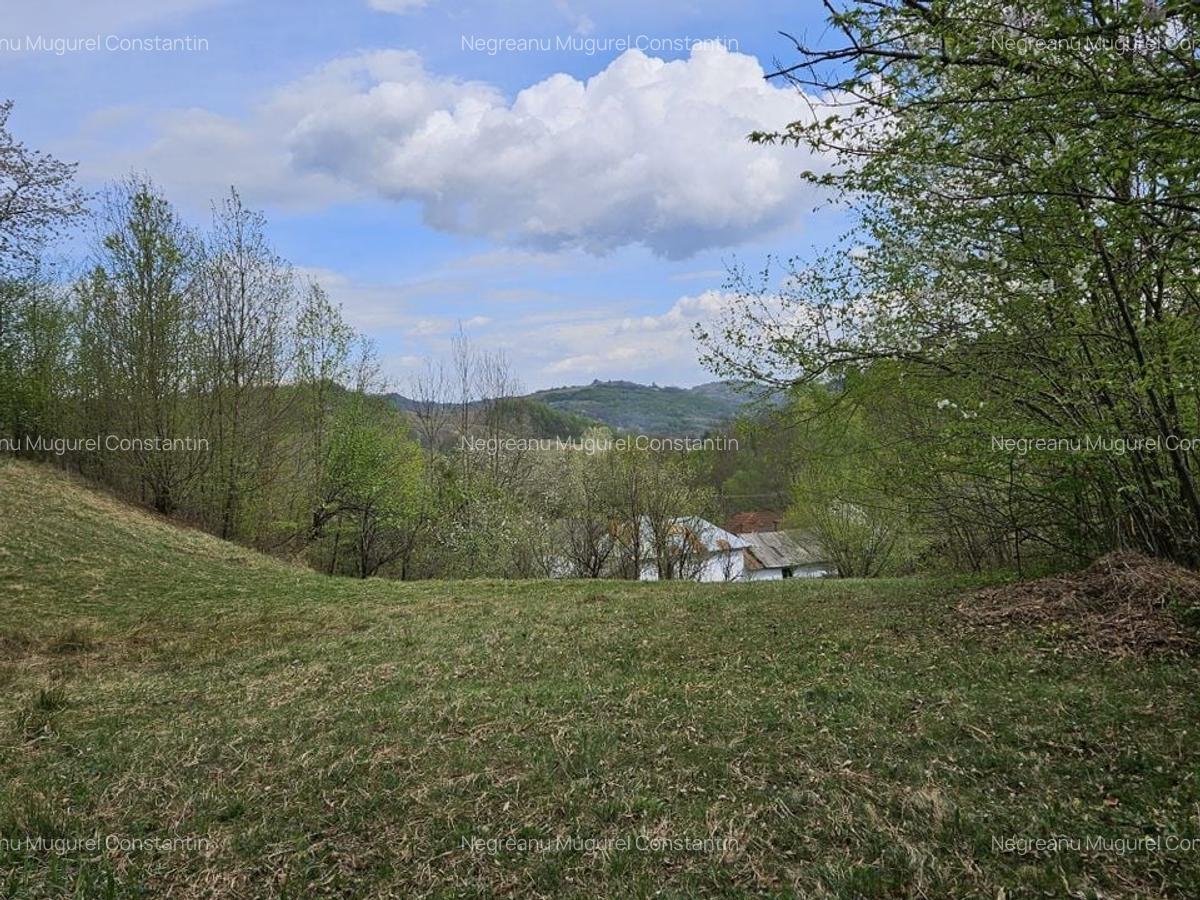 Teren intravilan 1454 mp la marginea padurii zona locuita de case! - 2