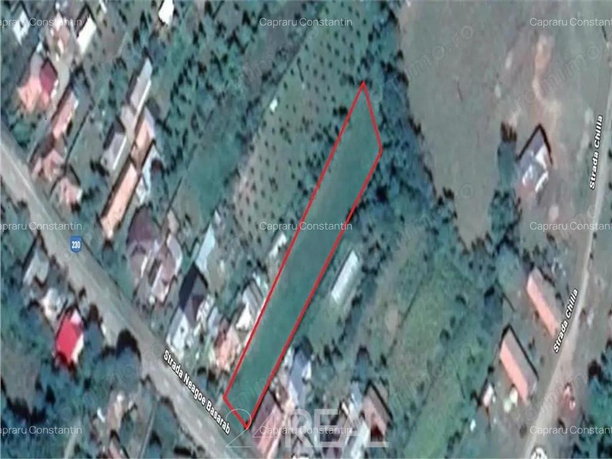 Teren de vanzare Drajna de Sus, zona buna pentru case vacanta - 4