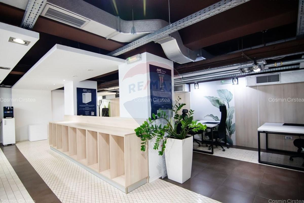 Spațiu comercial, 475 mp în Kiseleff - 7