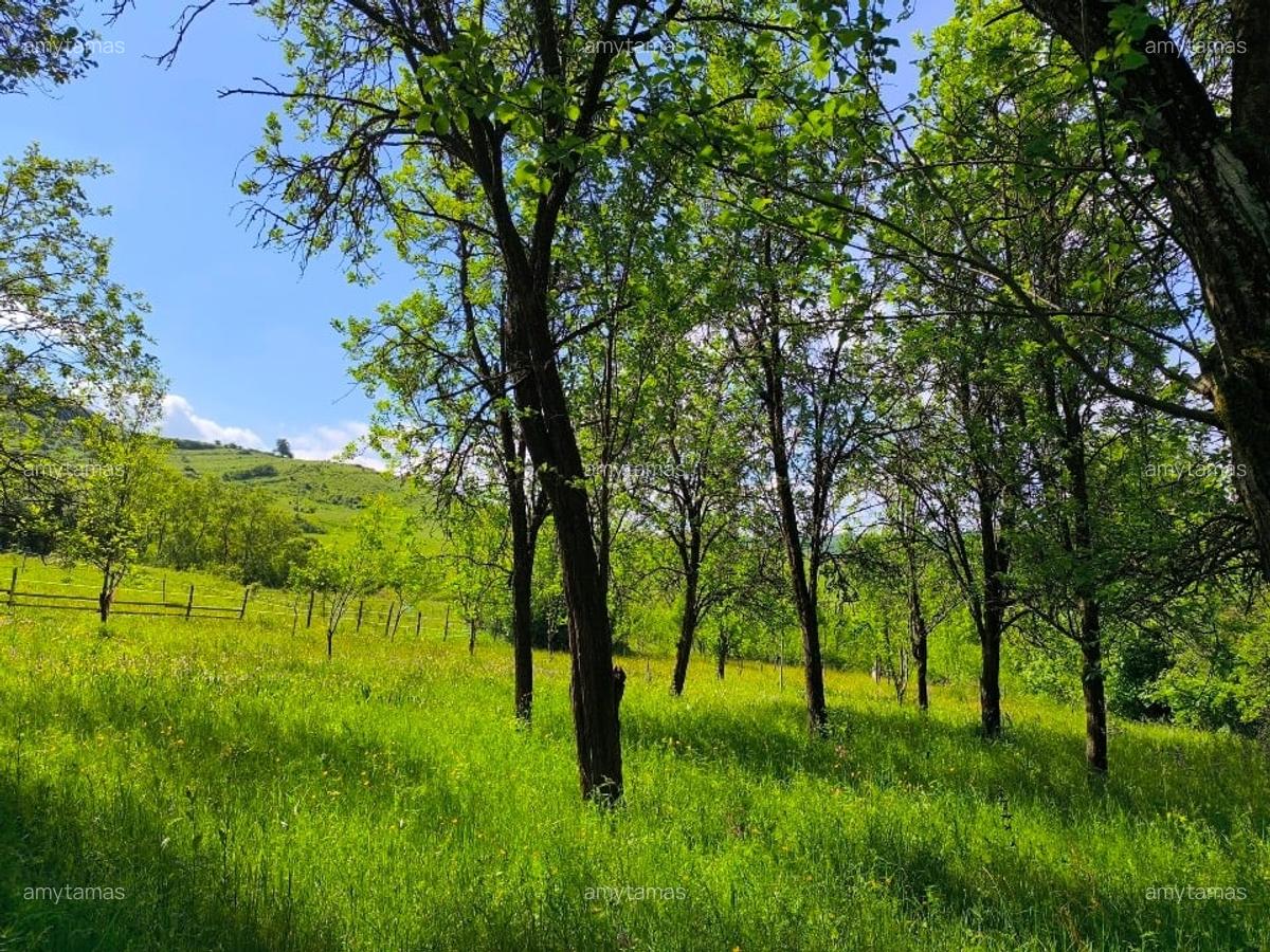 Teren de vânzare în Tiocul de Jos, comuna Cornești , Gherla – aproape de Cluj - 1