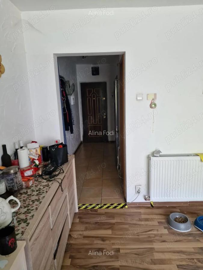 Vand apartament in Lugoj - 4