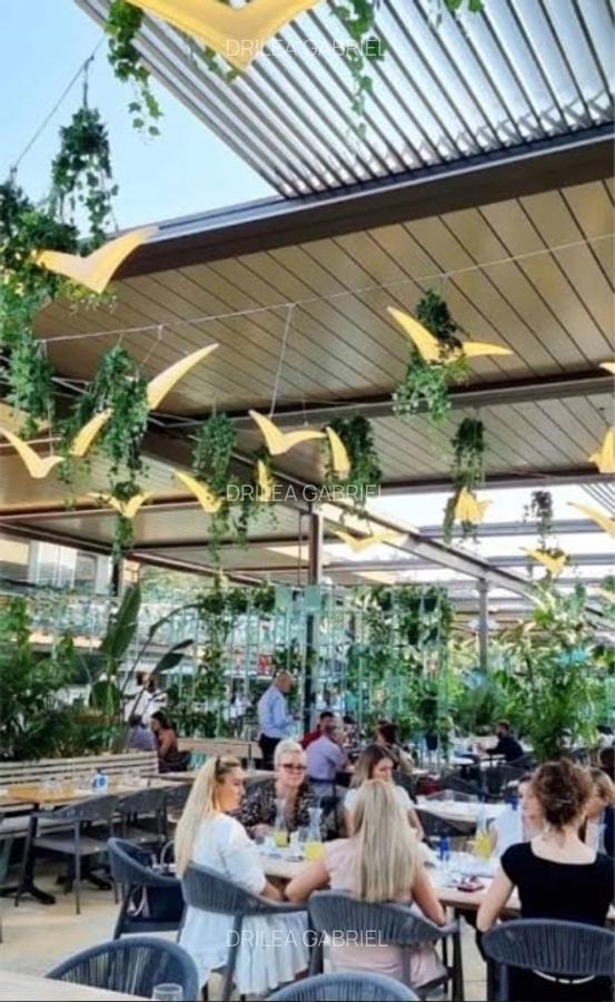 Investiție Premium în Brașov: Clădire istorică + Restaurant consacrat + Chiriaș - 2
