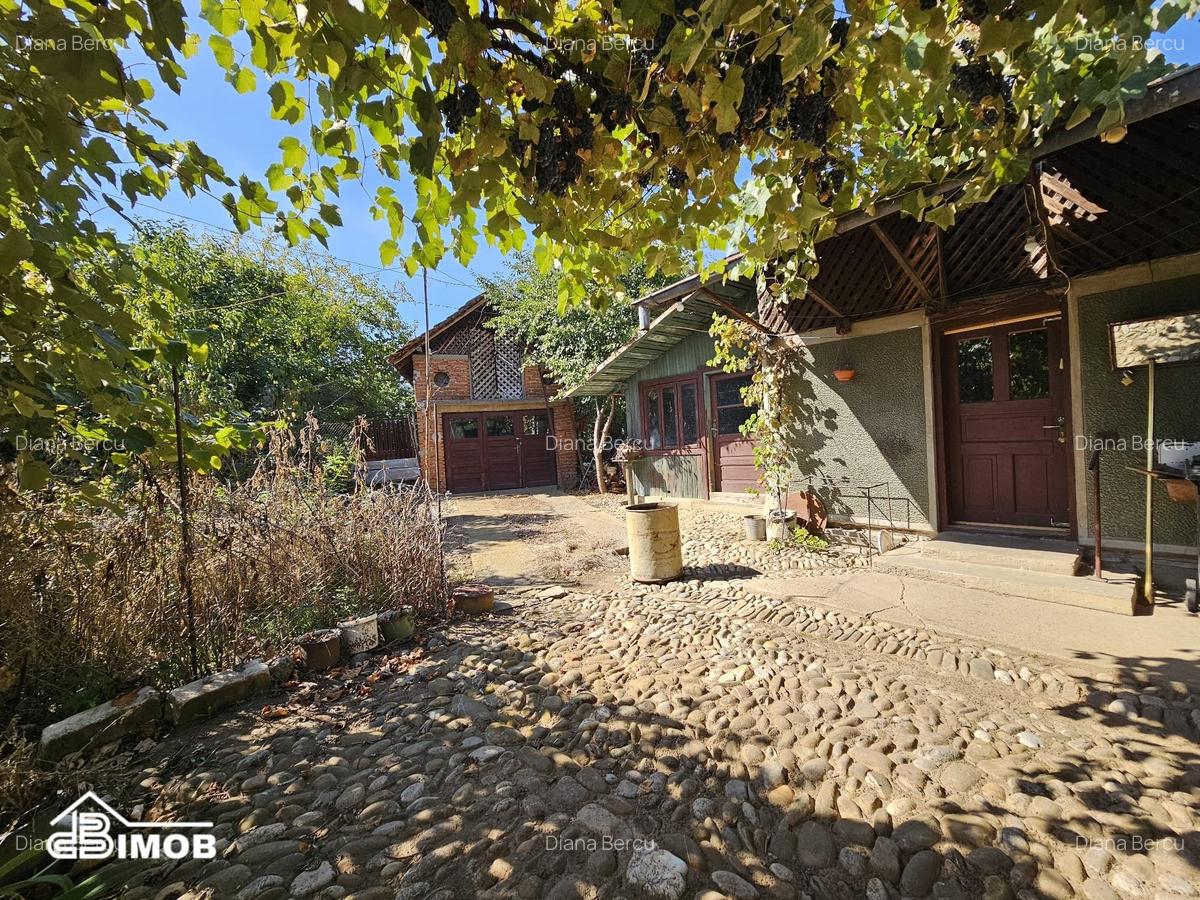 Casa in Șotânga, Teiș - 16