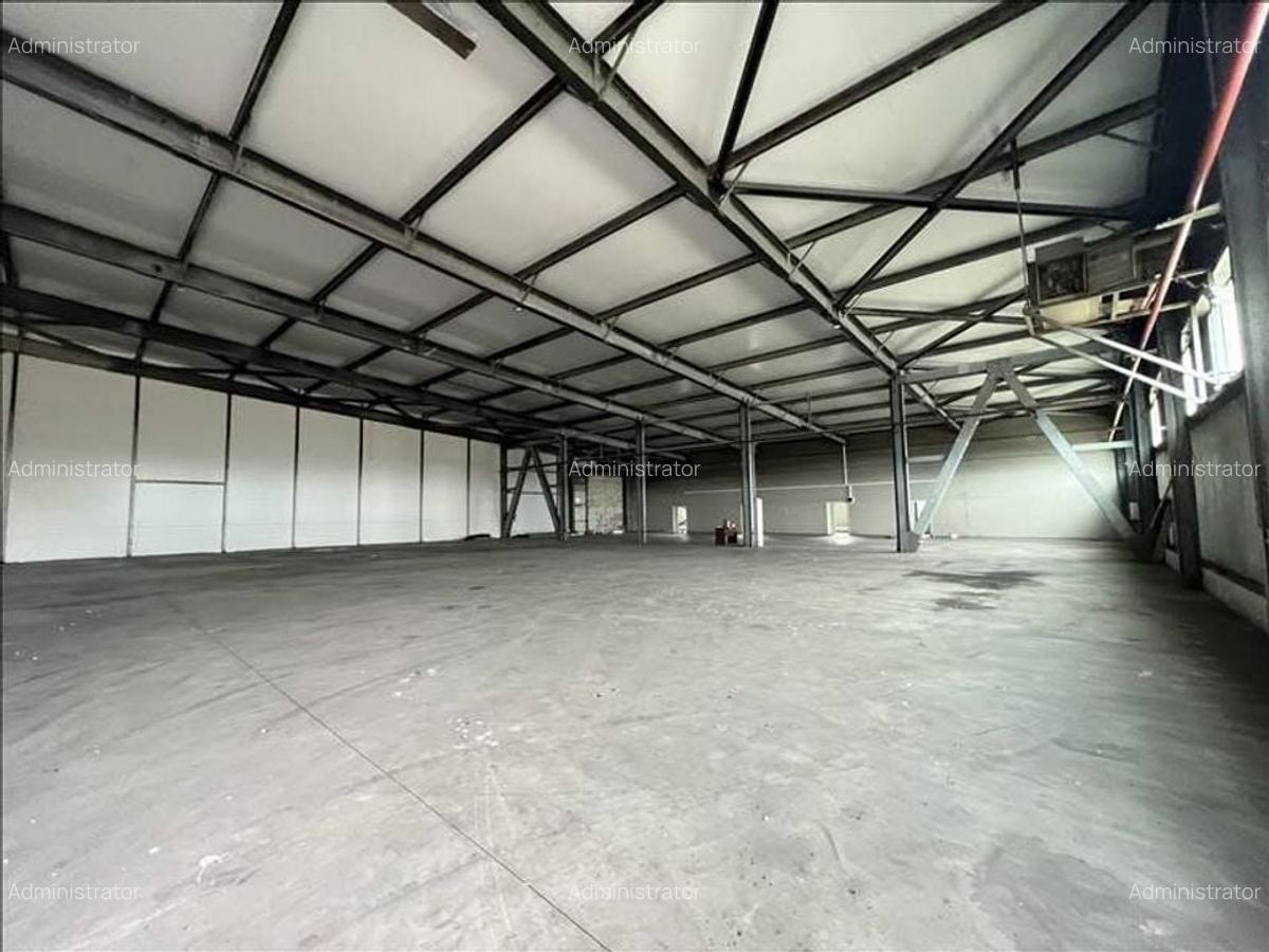 Spațiu industrial, 1310 mp în Mehala - 1