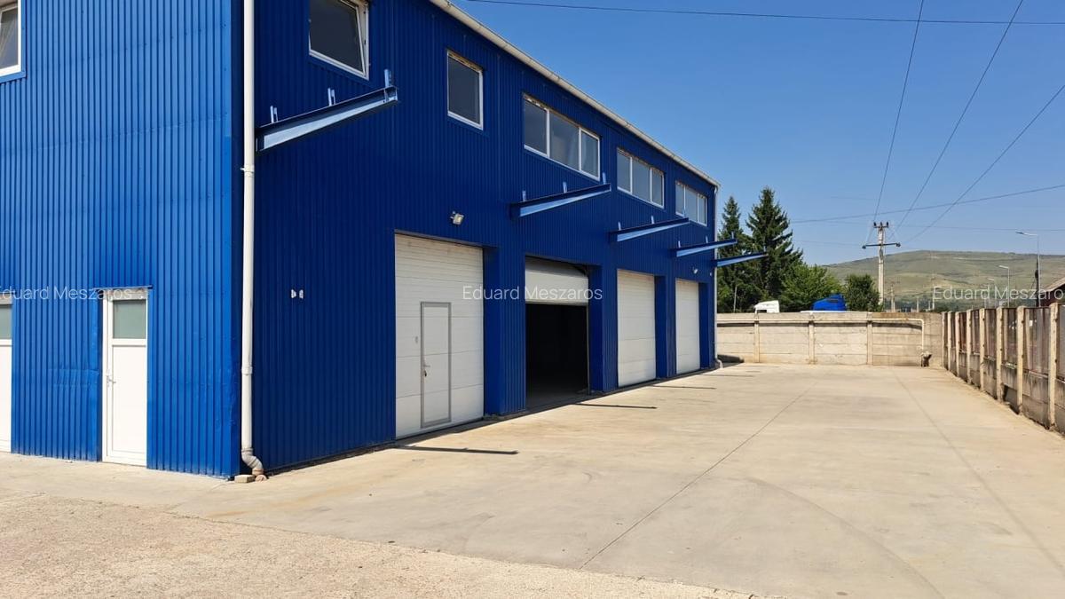 Hala de inchiriat 400mp,  Luna de Sus - 1