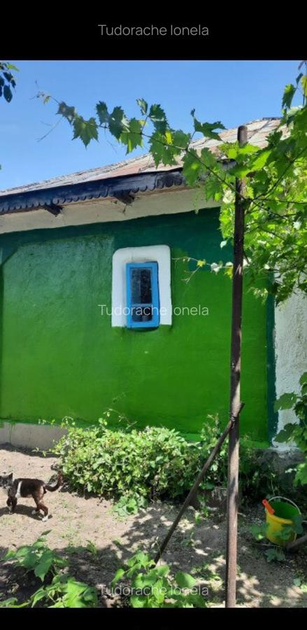 Vand casa in Teleorman, sat Albeni - 10