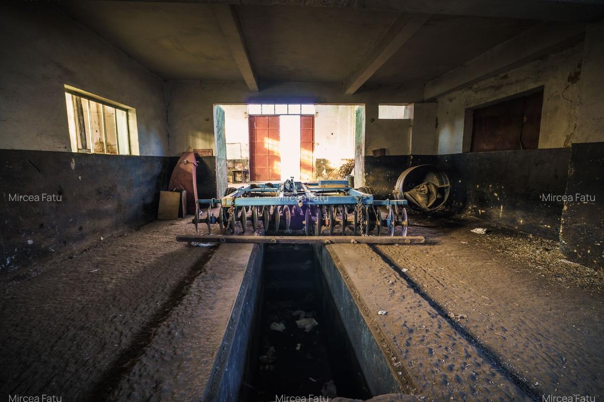 Inchiriere hala pentru depozitare sau productie  – Poarta Alba - 6