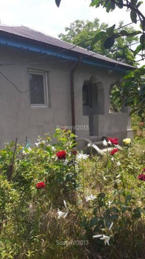 Casa cu teren 1100 COLCEAG PH,lângă A 7 - 4 Casa cu teren 1100 COLCEAG PH,lângă A 7 - 4