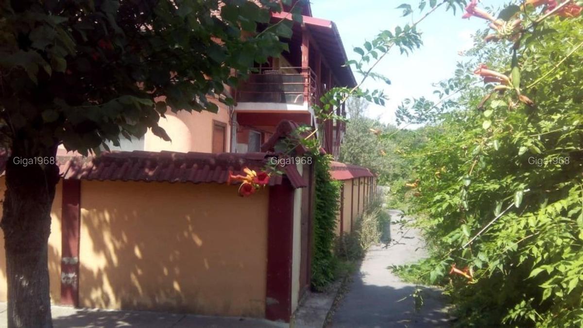 Garsonieră, curte - Trivale - 1
