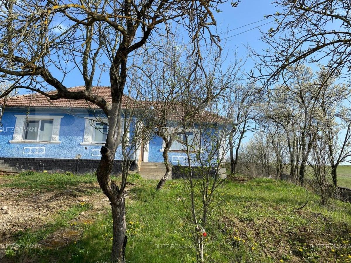 Casa  cu 10000mp de teren in Buza, la 50 km de Cluj-Napoca - 11