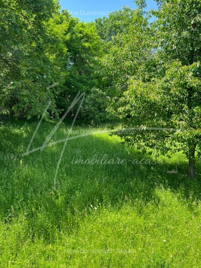 Teren intravilan de 1740 mp cu constructie in Provita de Sus-PH. Casa gratis! - 5