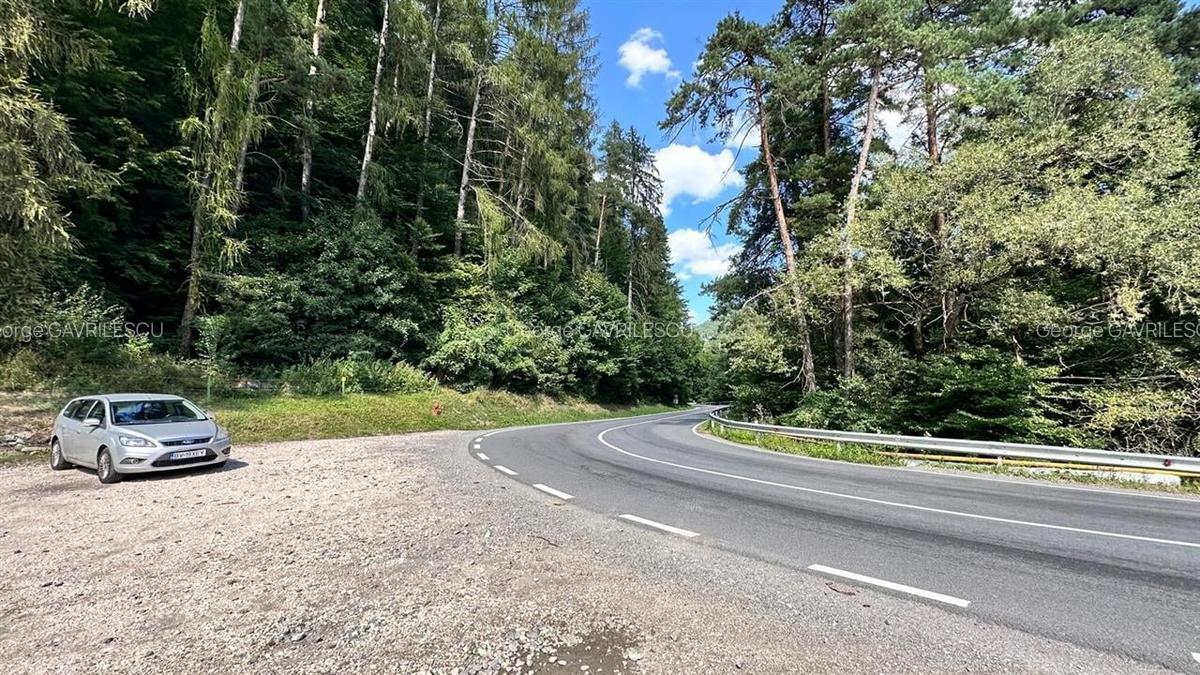 Teren Construcții intravilan de 4000 mp, în Brădet - 16