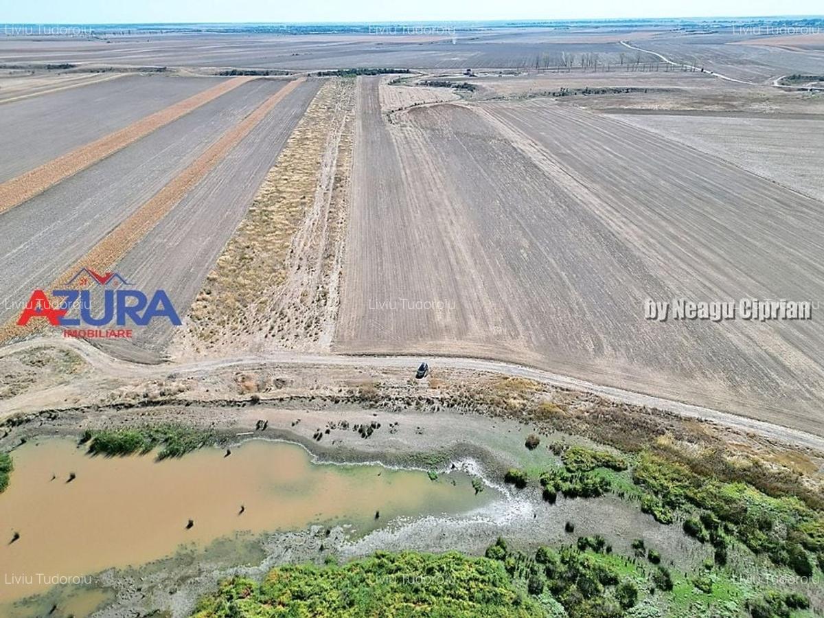 Teren agricol, 5HA, comasat, drum acces, Cateasca - 4