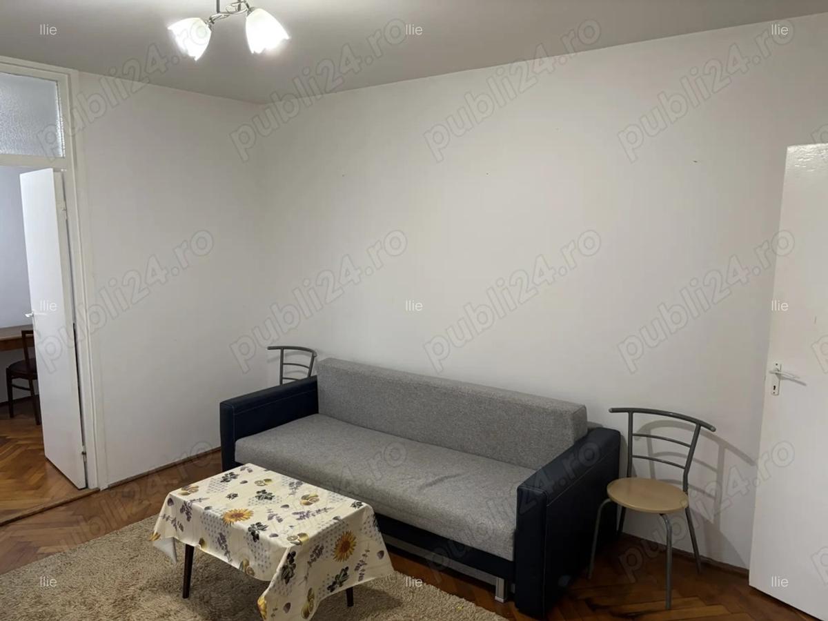Apartament ingrijit cu Brazi la balcon - 5