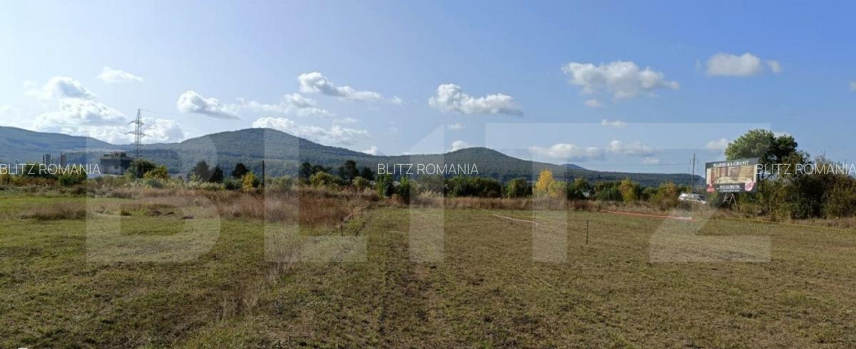 Teren Intravilan de vanzare, 4.900 mp, zona parcului Industr - 4