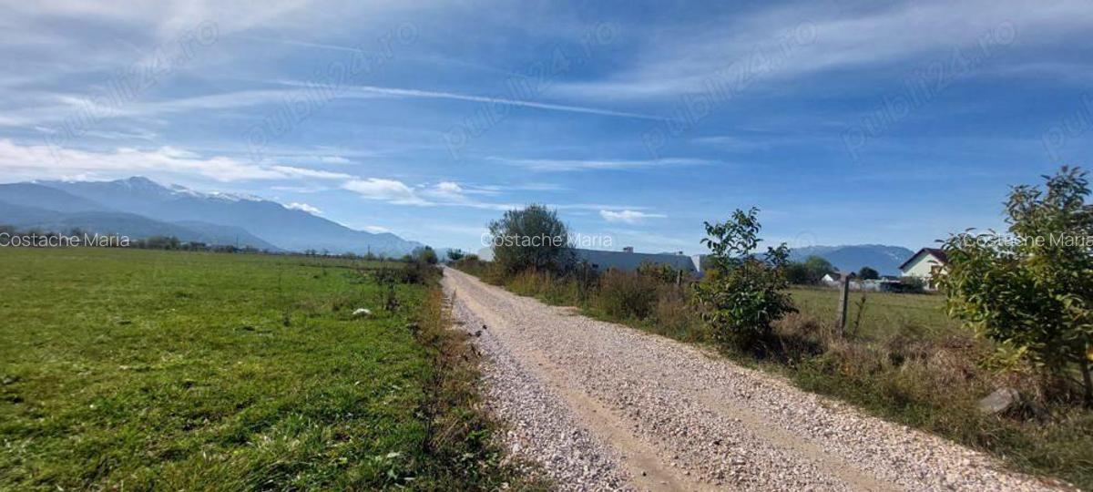 Teren intravilan , pozitie excelenta, zona Verze, Rasnov - 7