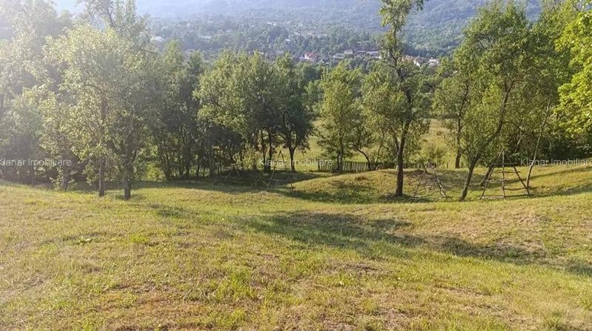 Super oferta! Teren 4874 mp in Arefu jud Arges - 2