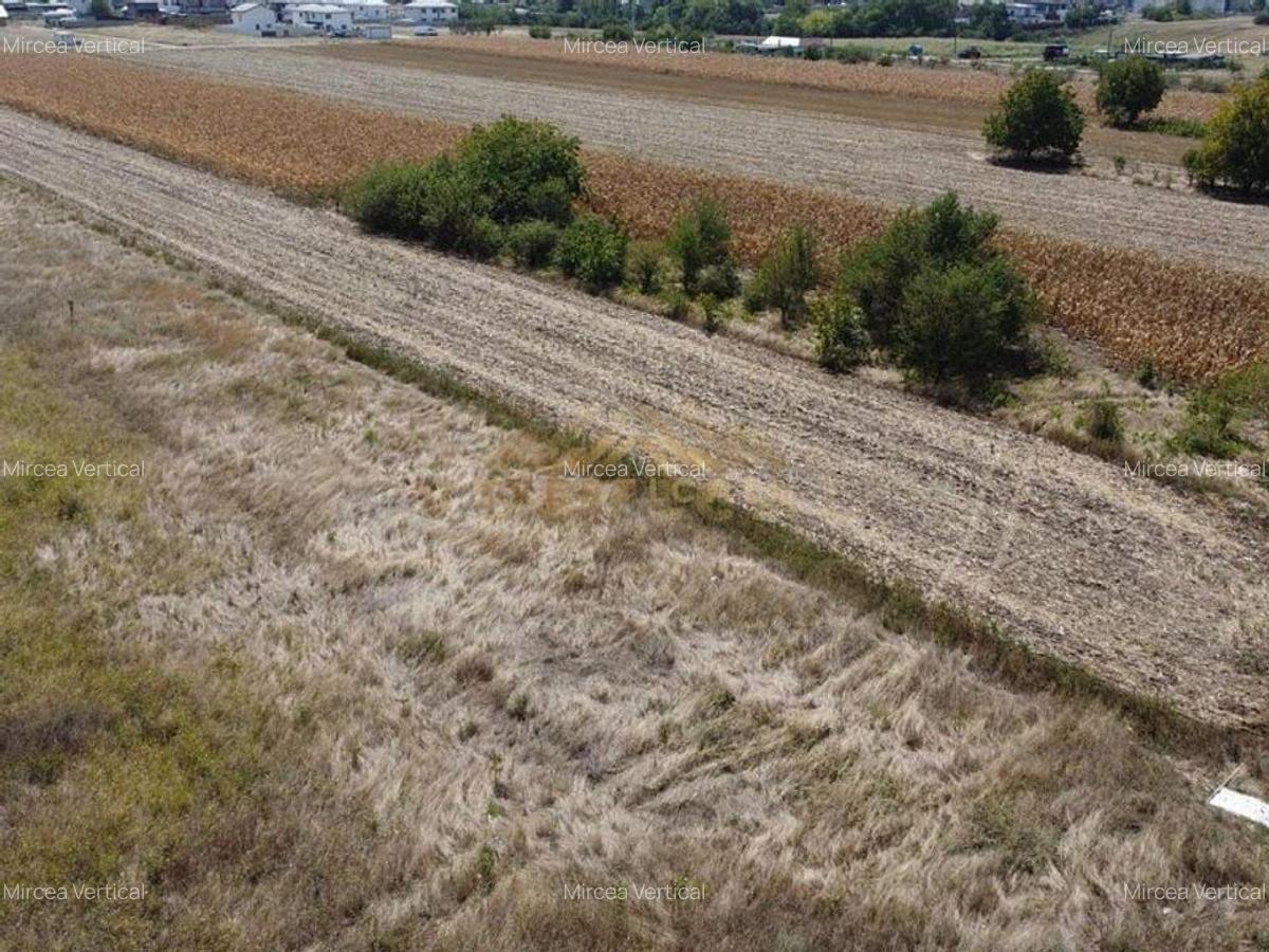 Teren intravilan in RATE la intrare in comuna Berceni - 5