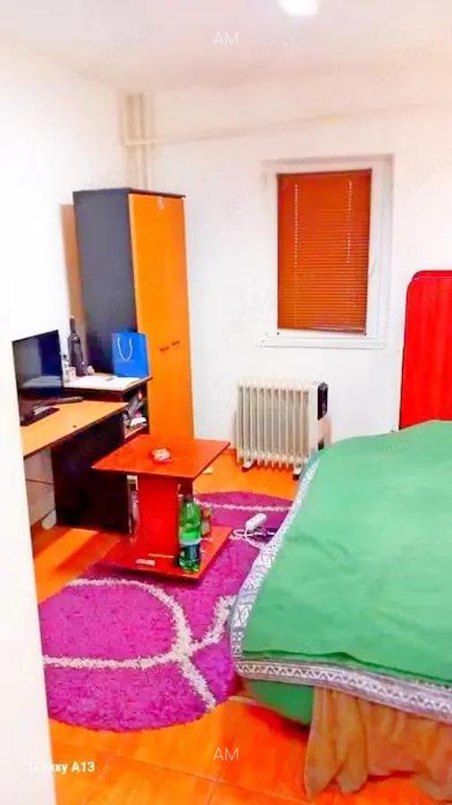 Lipovei - garsoniera - 10