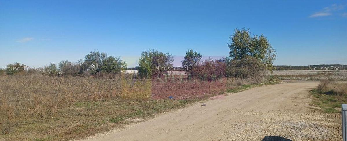 Sabareni, teren rezidential 6290 mp, cu 52m FS, utilita... - 3