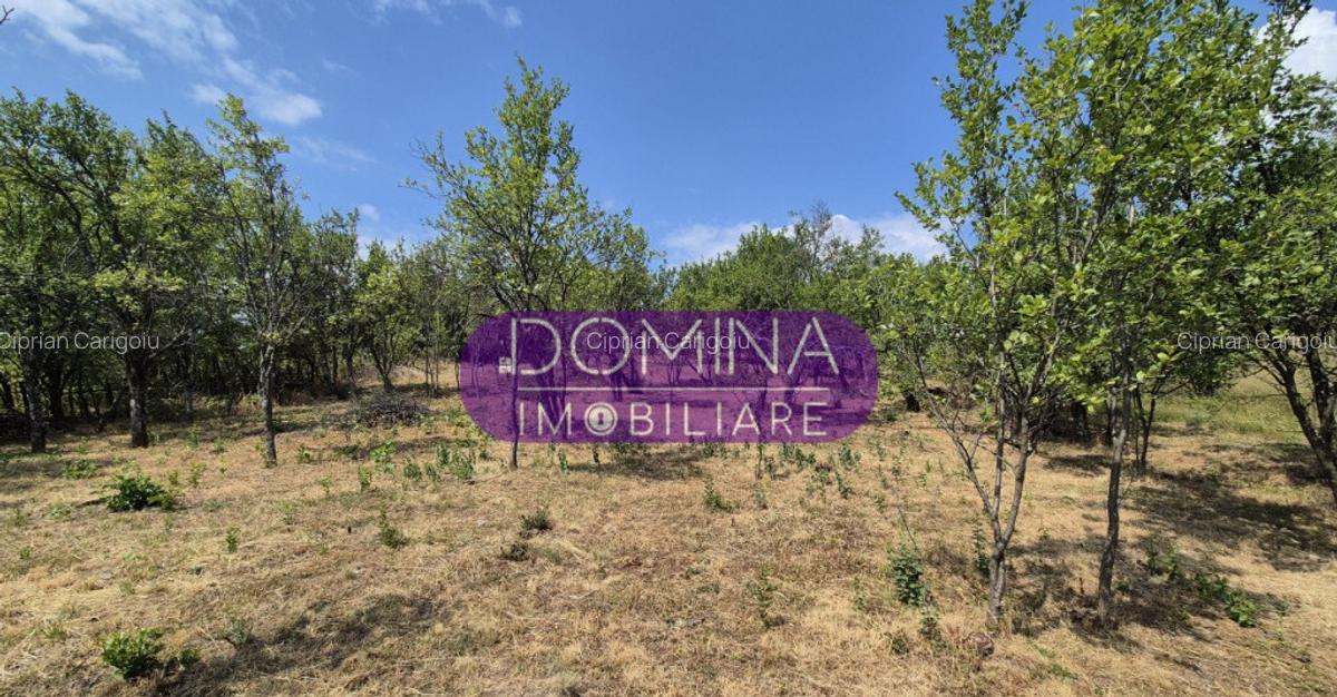 Proprietate in apropiere de complex turistic Mu?ete?ti - 5