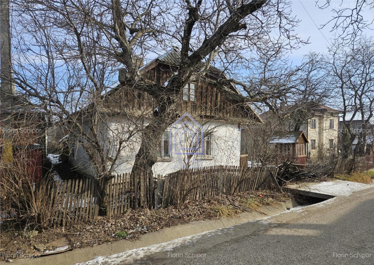 Teren central, Ilisesti, Suceava - 2