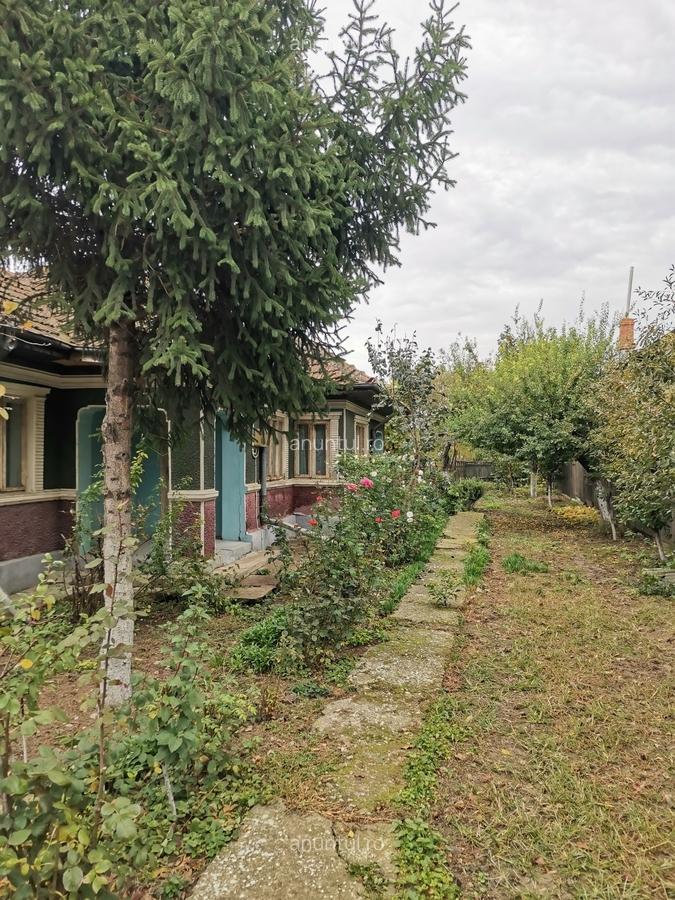 Cosereni, Ialomita - 2