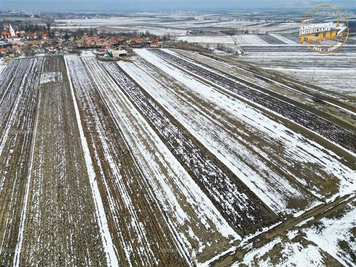 Suprafata intravilan 6.425 mp, oportunitate platforme rezidentiale - 6