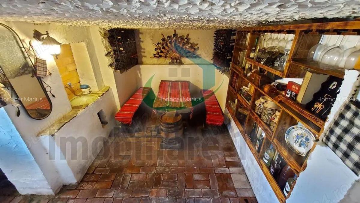 Casa D+P+M, zona Parc Municipal Regina Maria, teren 308 mp - 16