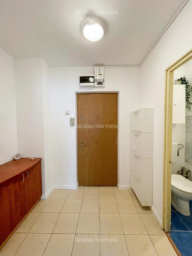 Garsoniera disponibila zona Piata Victoriei / Banu Manta - 21