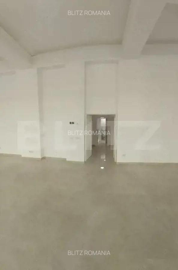 Spatiu comercial stradal, 230 mp, vad pietonal, zona Unirii - 13