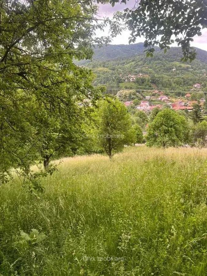 Teren intravilan 7426 mp de vanzare in Valea Doftanei utilitati la limita proprietatii - 2