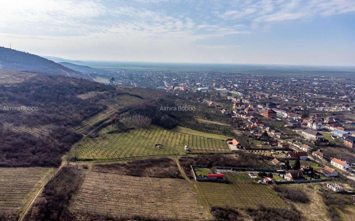 Teren intravilan in ?iria pe deal - 3 Teren intravilan in ?iria pe deal - 3