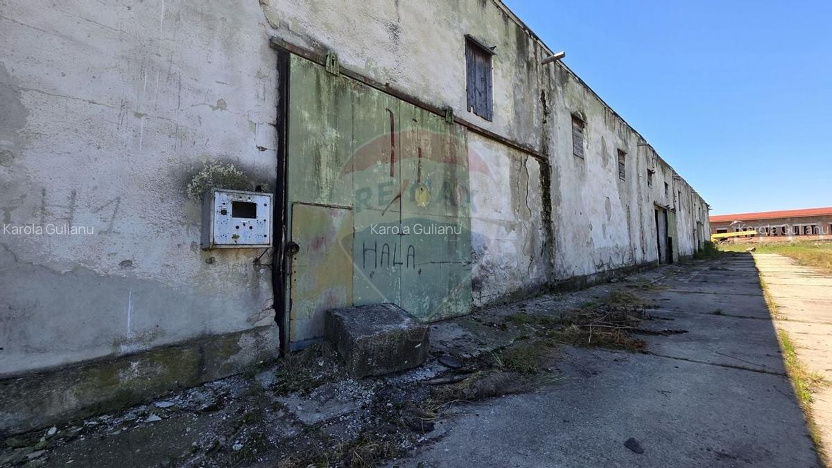 Vanzare hala industriala in Colonia Bod, judet Brasov - 5