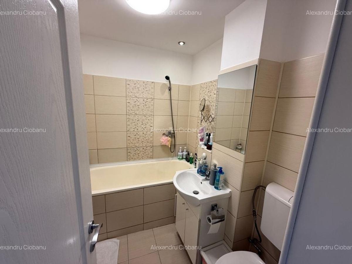 Apartament cu 2 camere, mobilat în Camil Ressu - 22