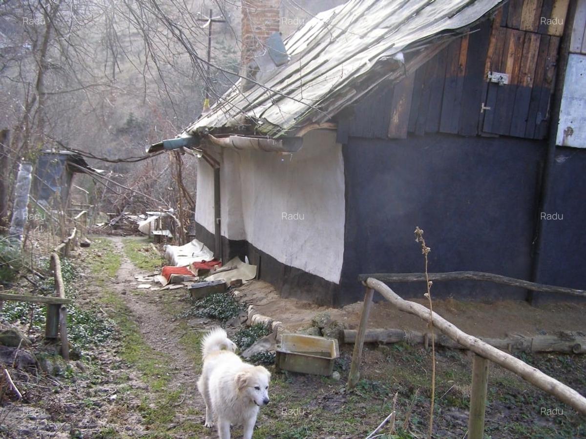 Tren intravilan si casa de lemn  in Brasov - 5