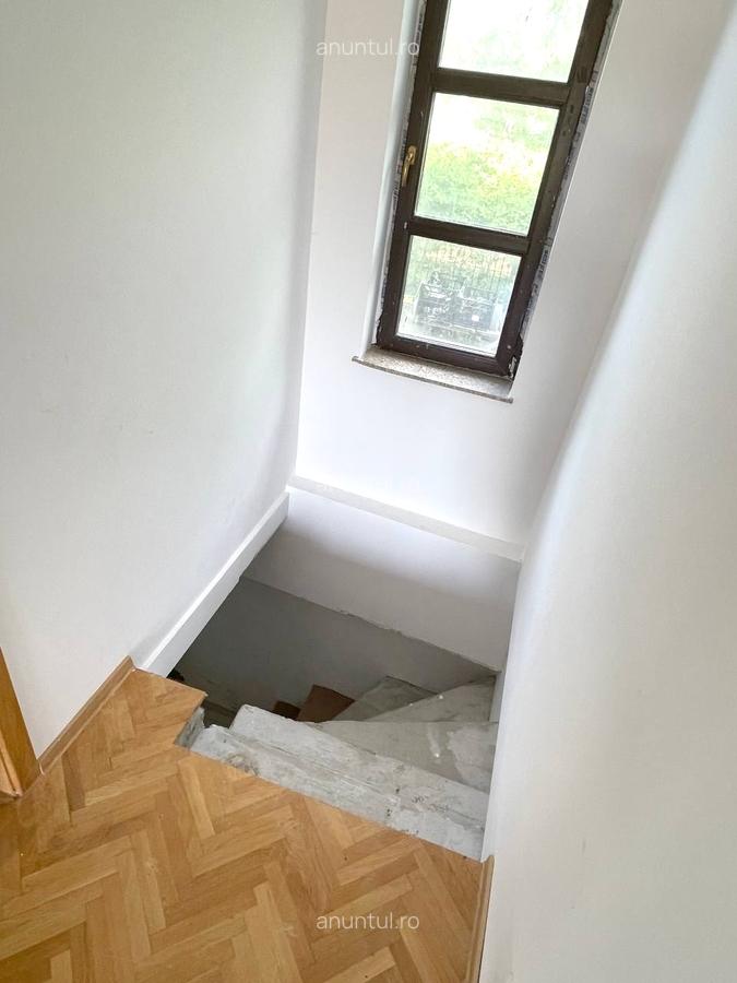 Cernica, Pantelimon, langa padurea Cernica - 11