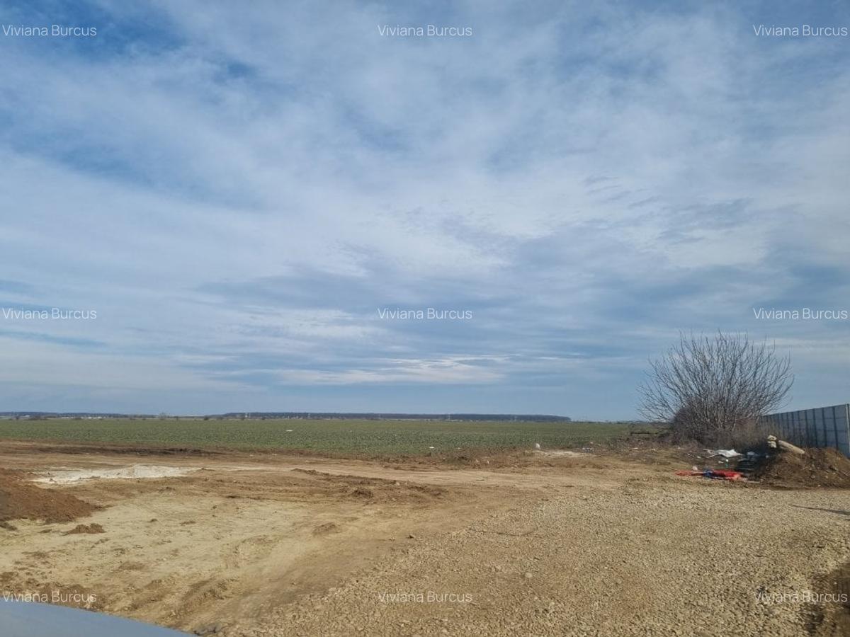 Teren Construcții intravilan de 30000 mp, în Tunari - 3