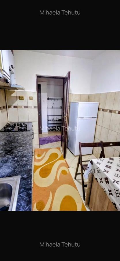 Apartament cu 2 camere semidecomandat, mobilat în Podu Roș - 5