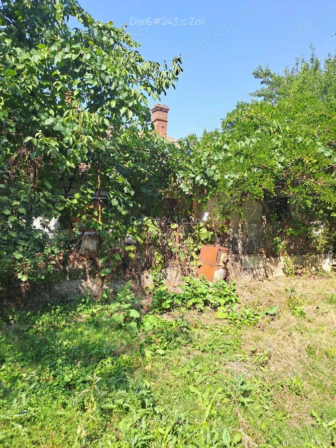 Casa de vanzare Diosig - 4
