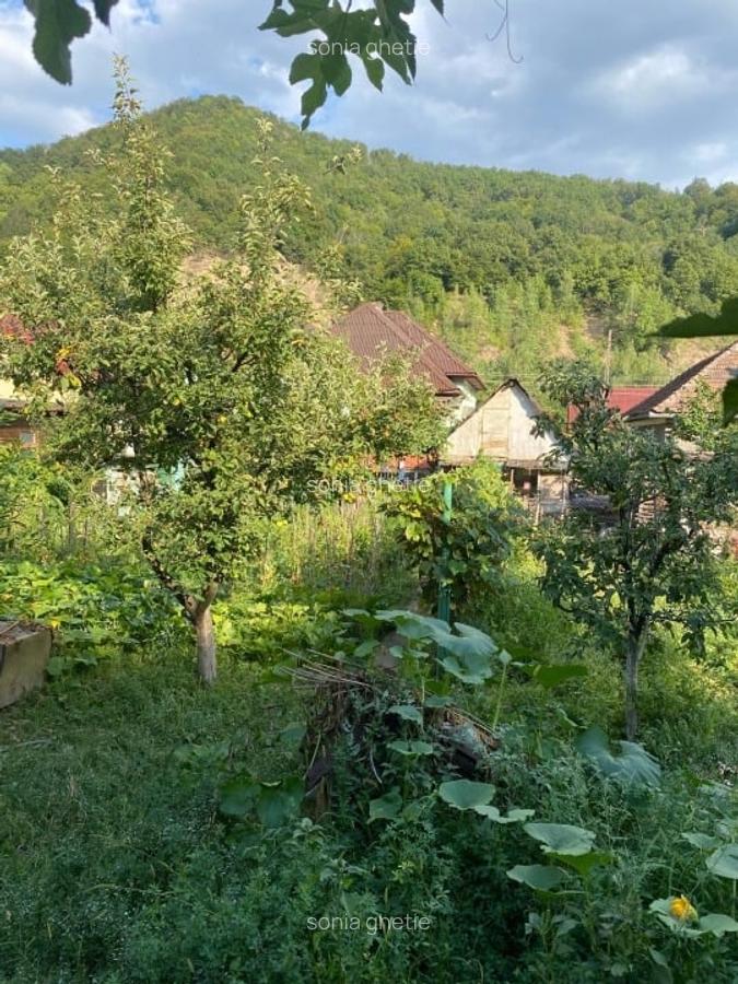 Casa de vanzare - 5