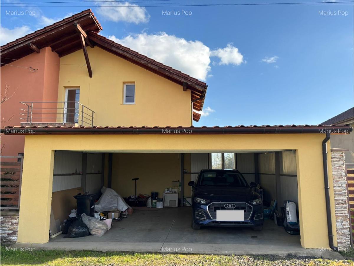 Casa Sinandrei Timis - 2